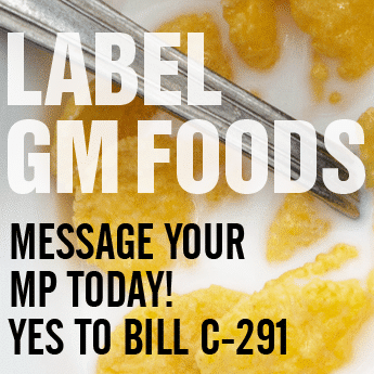 Canadian Biotechnology Action Network